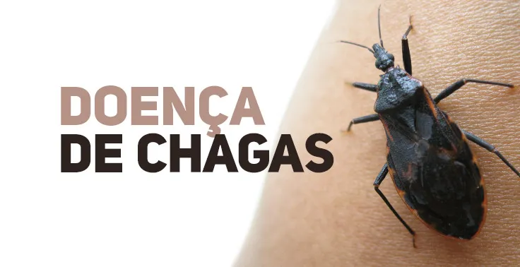 Jovem de 26 anos morre por doença de Chagas após consumir açaí contaminado em Ananindeua (PA)