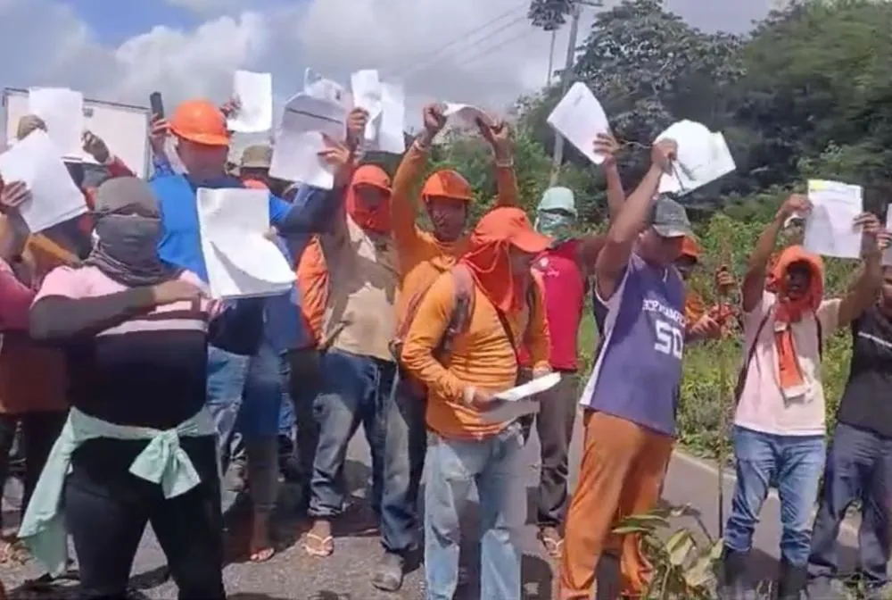 DENÚNCIA URGENTE: Violência e coação contra trabalhadores da BBF no Pará.