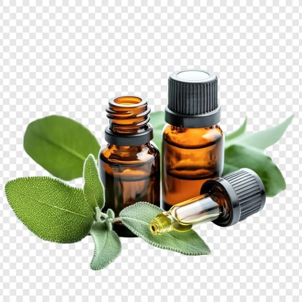 Homeopatia pode atuar como aliada na redução de efeitos colaterais em pacientes com TEA e TDAH