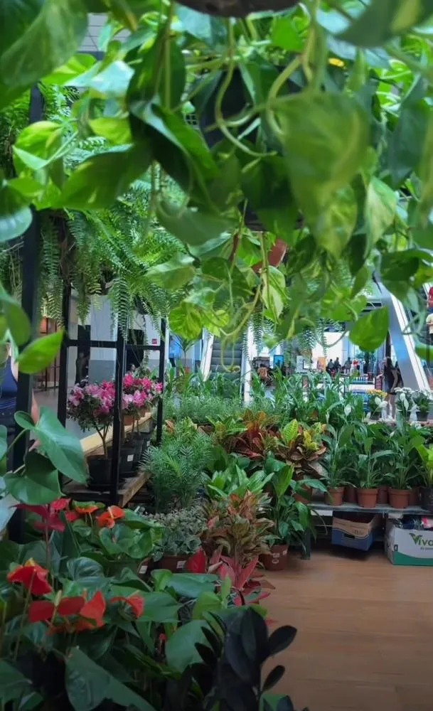 Jardinagem, bem-estar e experiências afetivas movimentam espaço da Terra Zoo em Ananindeua